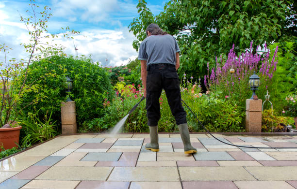 Best Animal Enclosure Cleaning  in Alpha, NJ